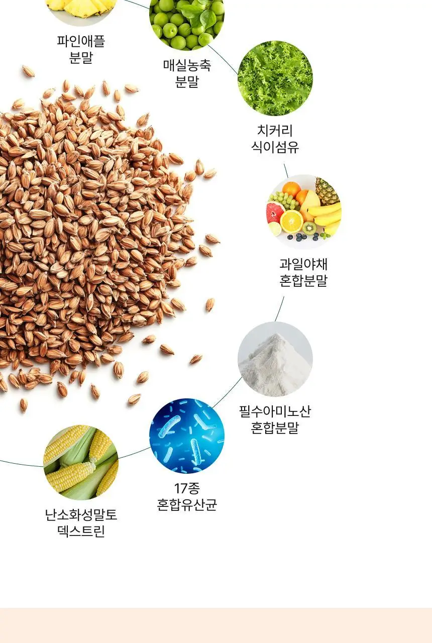 [차주영 PICK] 비비랩 파로 효소 밸런스 20포 (20일분) 상세페이지 14